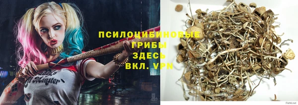 МДПВ Алексеевка