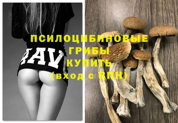 МДПВ Алексеевка